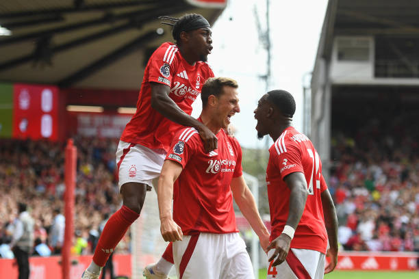 市场规律的 市场规律的